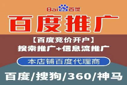 某企业通过SEO和SEM双管齐下实现业绩飞跃的案例